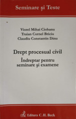 DREPT PROCESUAL CIVIL. INDREPTAR PENTRU SEMINARE SI EXAMENE-V.M. CIOBANU, T.C. BRICIU, C.C. DINU foto