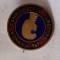 Campionatele EUROPENE de BOX, Romania anul 1969, competitie sportiva internationala, insigna email - Rara