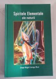 SPIRITELE ELEMENTALE ALE NATURII - JORGE ANGEL LIVRAGA RIZZI