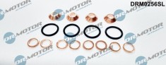 Set Garnituri Etansare,Injectoare 286367 DRM0256SL