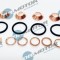 Set Garnituri Etansare,Injectoare 286367 DRM0256SL