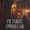 Pictorul umbrelor &ndash; Esteban Martin