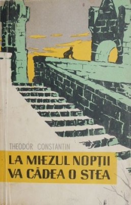 La miezul noptii va cadea o stea - Theodor Constantin foto