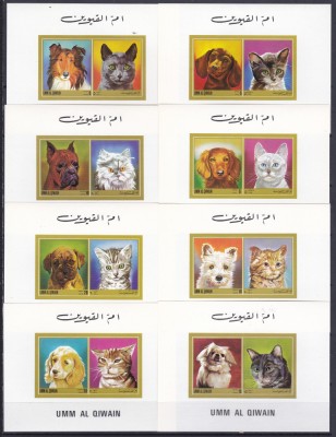 DB1 Umm al Qiwain Caini si Pisici de Rasa 12 SS de lux MNH foto