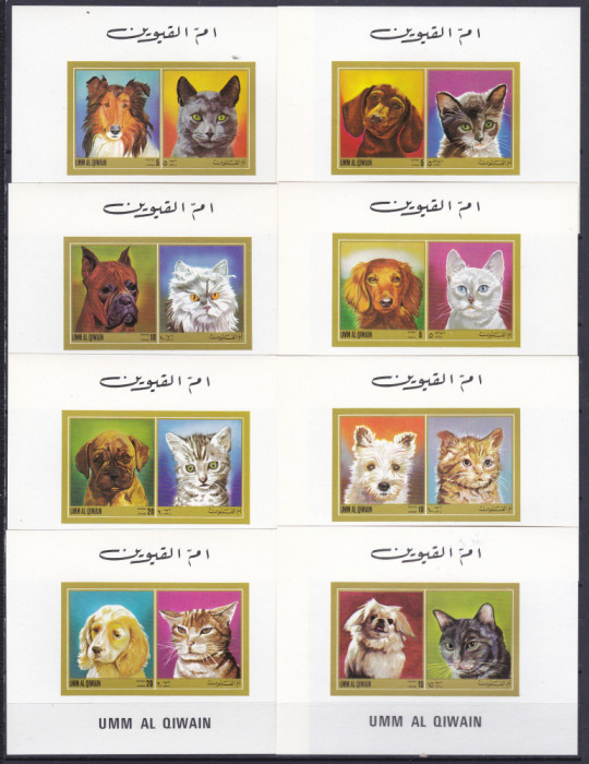 DB1 Umm al Qiwain Caini si Pisici de Rasa 12 SS de lux MNH