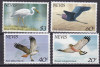 Nevis 1985 fauna pasari MI 248-251 MNH, Nestampilat