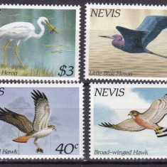 Nevis 1985 fauna pasari MI 248-251 MNH