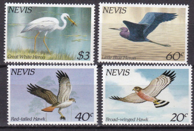 Nevis 1985 fauna pasari MI 248-251 MNH foto