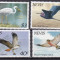 Nevis 1985 fauna pasari MI 248-251 MNH