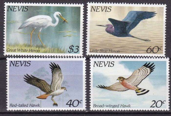 Nevis 1985 fauna pasari MI 248-251 MNH