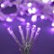 Instalație Lumini Crăciun, LED, 20 Becuri, Culoare Mov, Cablu Transparent, Lungime 2.2m, Funcționare pe Baterii AA, Interior