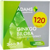 Ginkgo Biloba 240mg 120tb (60tb+60tb)