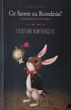 Ce facem cu Romania? Dialoguri cu cititorii - Cristina Nemerovschi