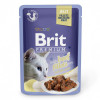 Pungă BRIT Premium Cat Vită &icirc;n jeleu 85 g