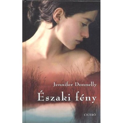 &amp;Eacute;szaki f&amp;eacute;ny - Jennifer Donnelly foto