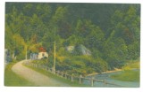 5364 - PETROSANI, Pasul Surduc, Valea Jiului, Gorj, Romania - old postcard - unused