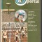 Sportul-Boris Havin