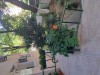 Apartament 3 camere circular, Etajul 8