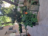 Apartament 3 camere circular, Etajul 8