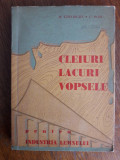 Cleiuri, lacuri, vopsele pentru industria lemnului - M. Gheorghe / R5P3S, Alta editura