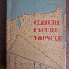 Cleiuri, lacuri, vopsele pentru industria lemnului - M. Gheorghe / R5P3S