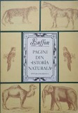 PAGINI DIN &quot;ISTORIA NATURALA&quot;-BUFFON-277709