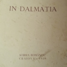 IN DALMATIA ALEXANDRU MARCU