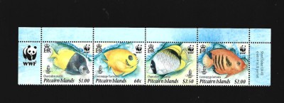 pitcairn pesti mnh foto