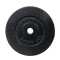 Greutate fier inSPORTline Top Sport Castyr 10kg/30mm,