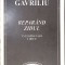 REPARAND ZIDUL-LEONARD GAVRILIU-262645