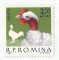Foto  - 9