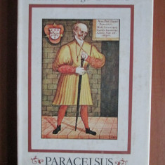 Mihai Neagu Basarab - Paracelsus. Calatorie neintrerupta (1981)