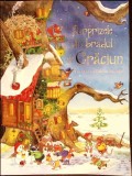 Surprizele din bradul de Craciun - Chriastian si Fabian Jeremies, DPH, 2017, Povesti copii, Limba Romana, Coperta Paperback