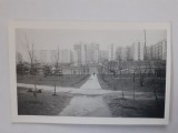 Poză din Parcul Titan
