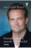 Friends, iubiri si marele lucru teribil - Matthew Perry
