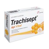 Trachisept Api Vital 16 comprimate Labormed