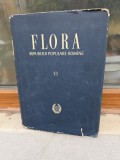 FLORA REPUBLICII POPULARE ROM&Icirc;NE VI