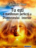 Cumpara ieftin Tu esti o manifestare perfecta a Dumnezeului interior - 2021 - Carmina Harr (Y434)