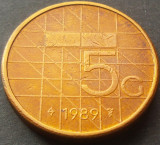 Cumpara ieftin Moneda 5 GULDEN (GULDENI) - OLANDA, anul 1989 * cod 2407 B, Europa
