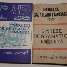 Georgiana Galateanu- Sinteze de gramatica engleza+exercitii de gramatica (2 vol)