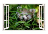 Sticker decorativ, Fereastra 3D, Vulpe, 85 cm, 310STK, natura si peisaje