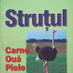 STRUTUL. CARNE, OUA, PIELE, PENE-MATTHEW A. CAULEY