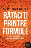 Rataciti printre formule. Cum ii deruteaza frumusetea pe fizicieni (epub) - LibHumanitas
