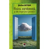 Pisica surdomuta si alte unsprezece povestiri, Stefan Mitroi