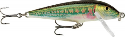 Rapala Wobler Count Down 03 MN foto