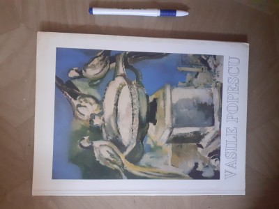 ALBUM PICTURA-VASILE POPESCU-1998. foto