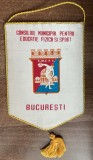 D9 154 - fanion - sport - Consiliul municipal pentru educatie fizica si sport - Municipiul Bucuresti