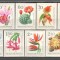 Ungaria.1965 Flori din Gradini Botanice XU.99