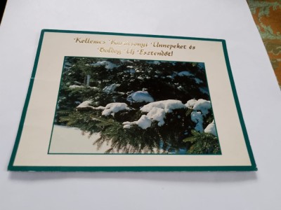 Carte postala brad foto