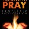Equipped to Pray: Prophetic Intercession